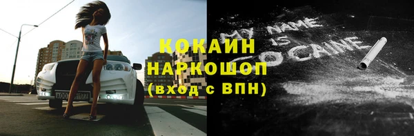 индика Аркадак