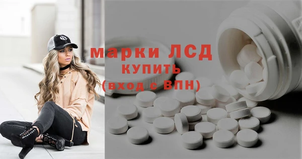 индика Аркадак