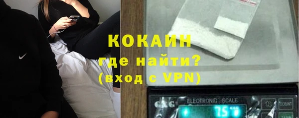 индика Аркадак