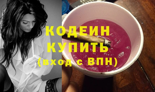 индика Аркадак