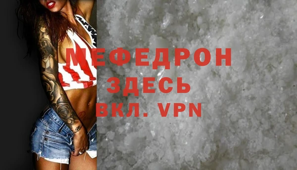 индика Аркадак