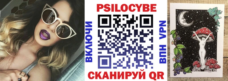 Купить где  Павловская  Галлюциногенные грибы GOLDEN TEACHER 